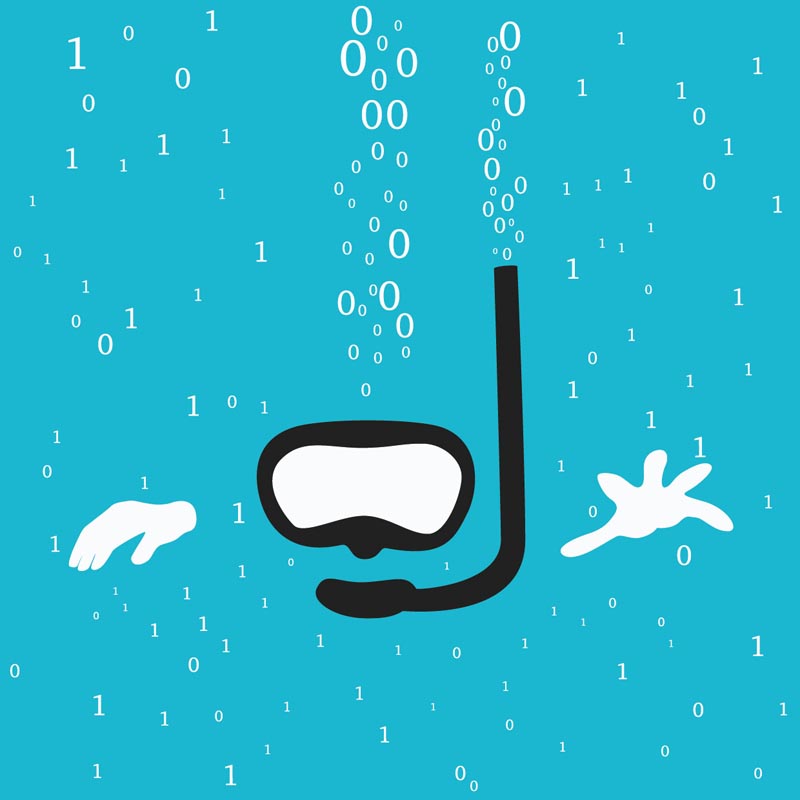 The Chronicle of Higher Education