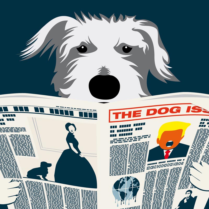  Big Issue - How consumerism and colonialism helped make dogs the pets we know and love today